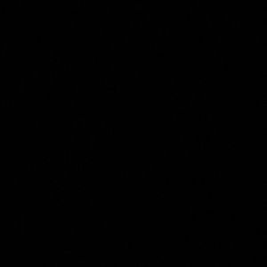 Meet your Posher, Chase